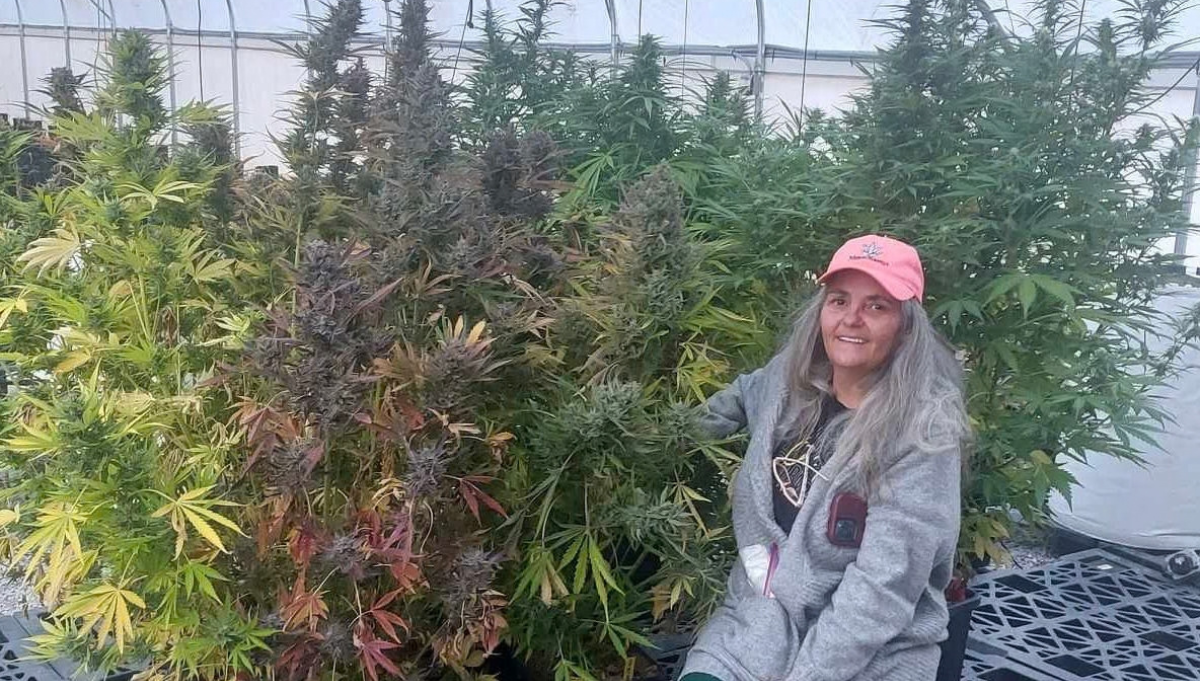 nancy's own autoflowers manhattan rosin 