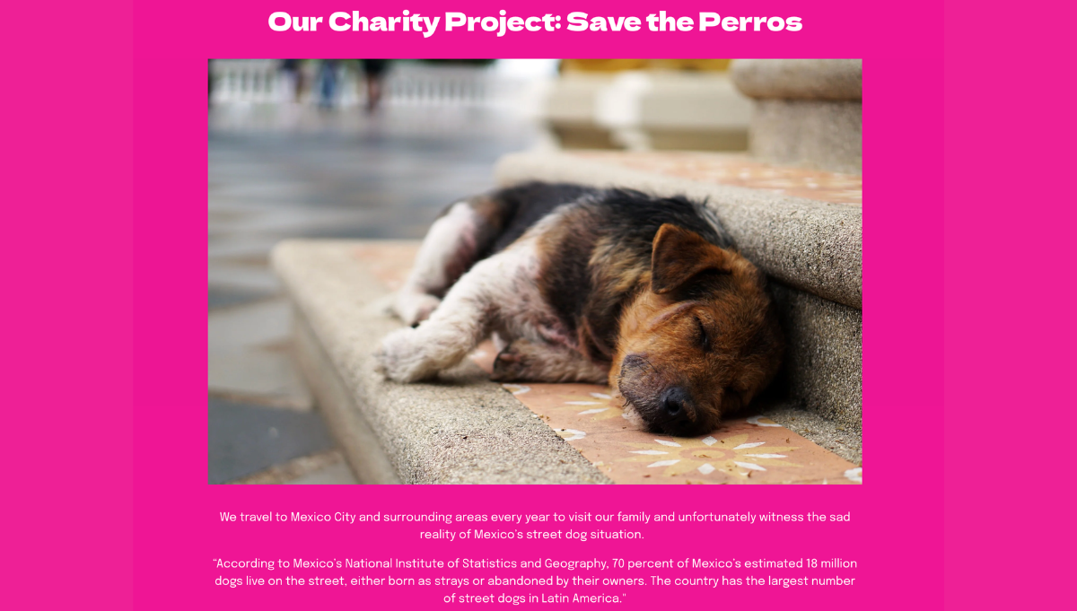 Dawg Snacks Alebrije Genetics american autoflower cup