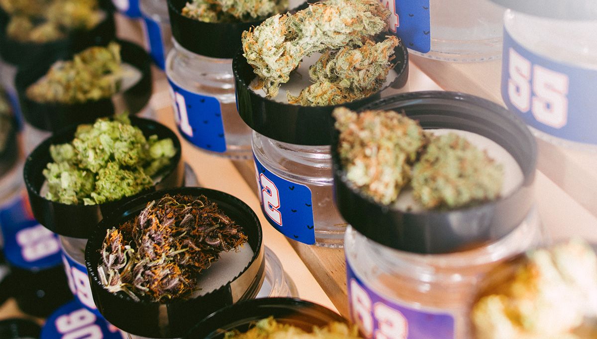 american autoflower cup 2026 