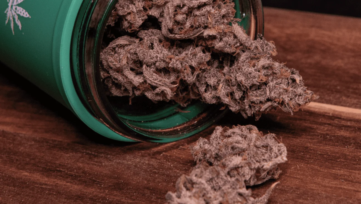 apricot auto fast buds rosin american autoflower cup