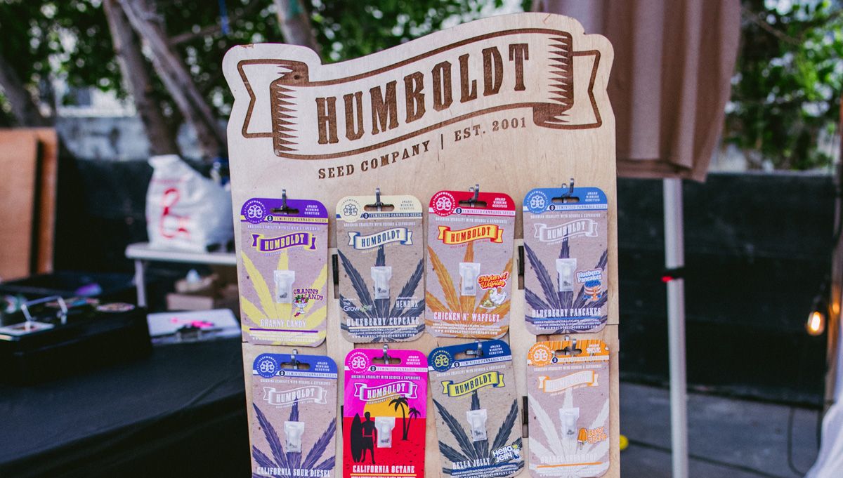 humboldt seed company humboldt seed company