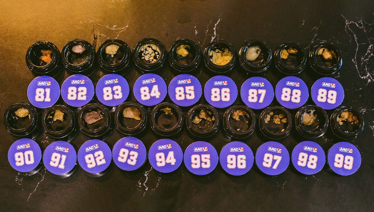 hella jelly auto humboldt seeds american autoflower cup