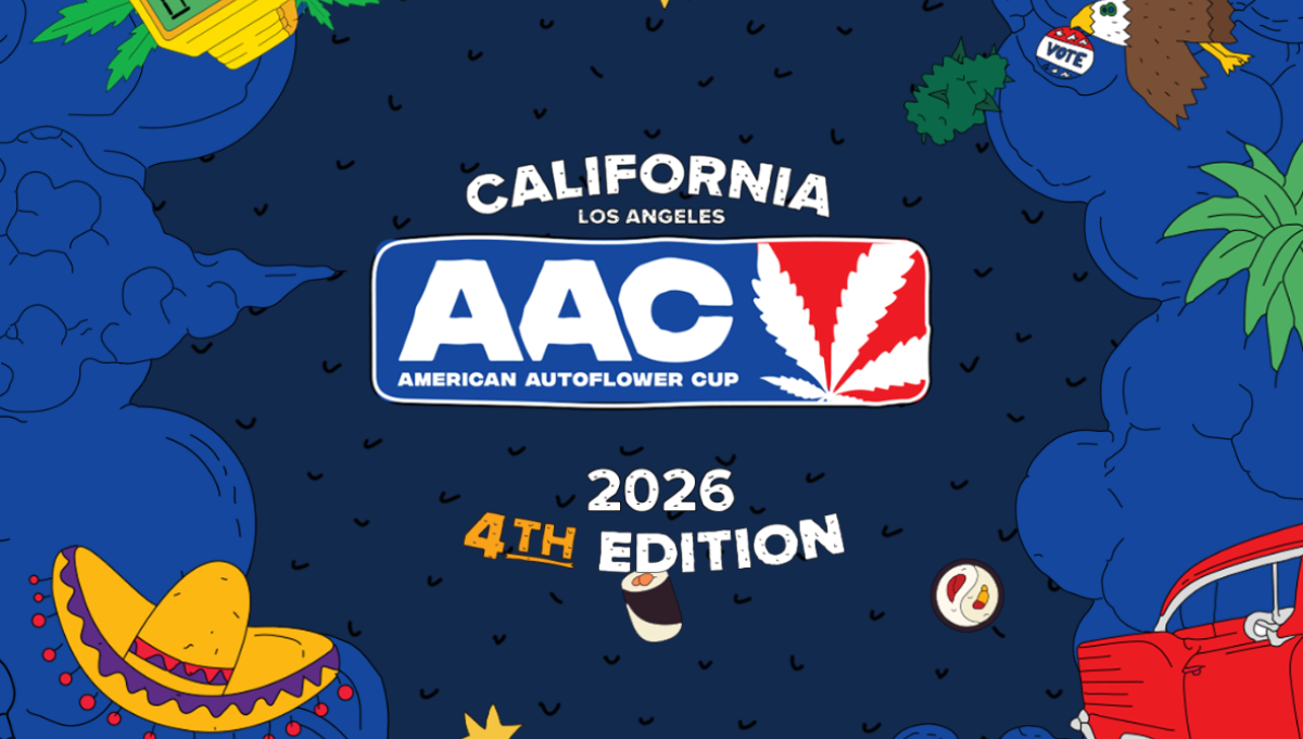 american autoflower cup american autoflower cup