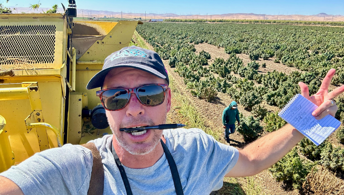 david downs american autoflower cup 2026