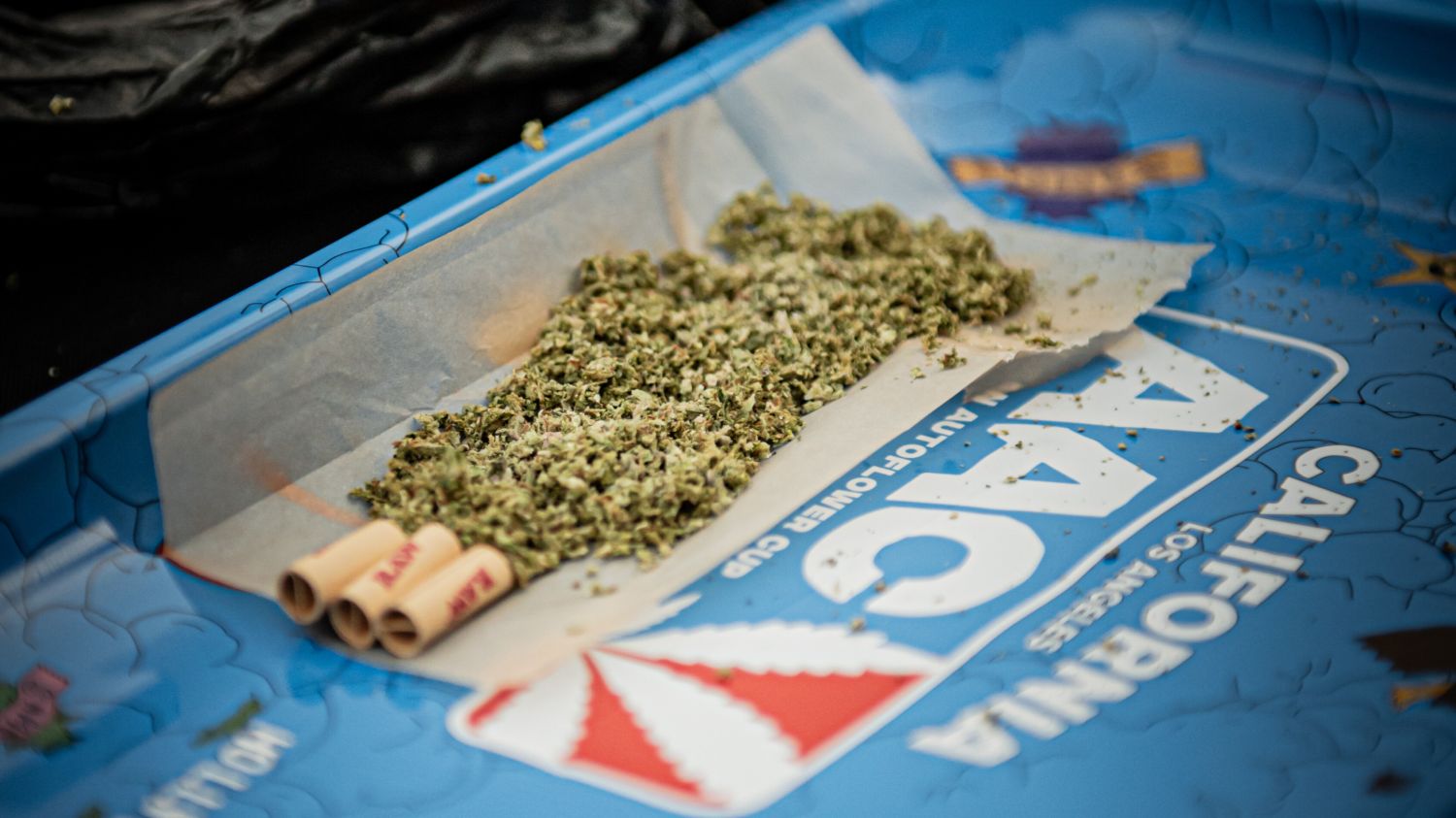 American Autoflower Cup categories 2026 American Autoflower Cup categories 2026