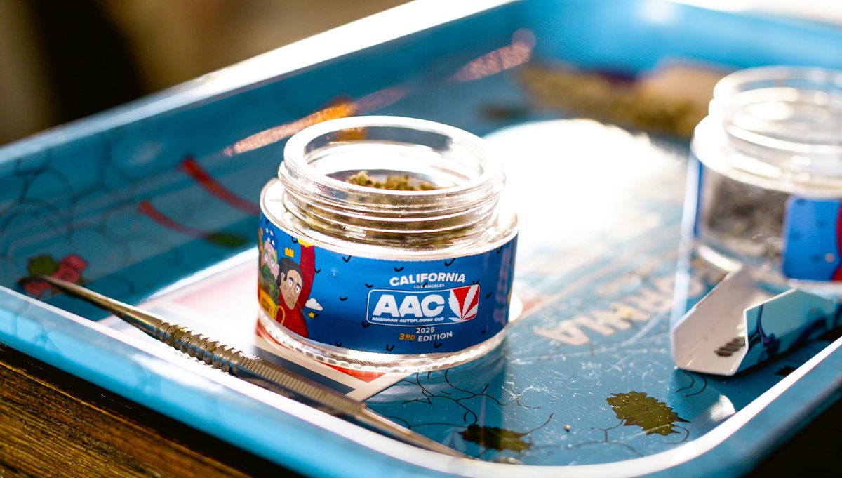 american autoflower cup cannabis competition 