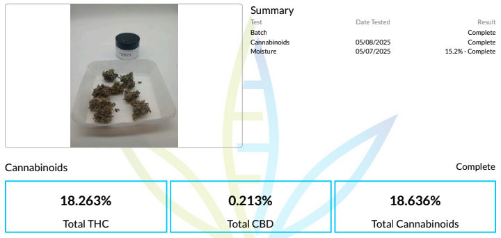 grape gas auto twenty20 american autoflower cup