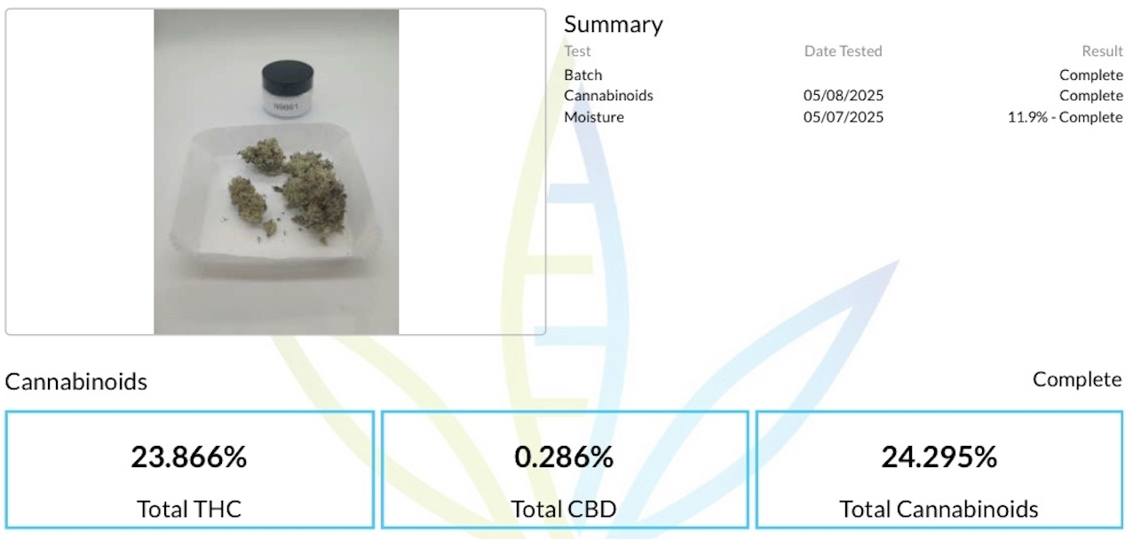 love bomb twenty20 thc lab test american autoflower cup  love bomb twenty20 thc lab test american autoflower cup