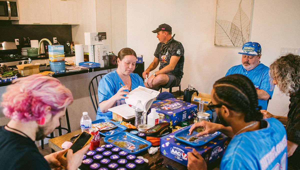 judges american autoflower cup