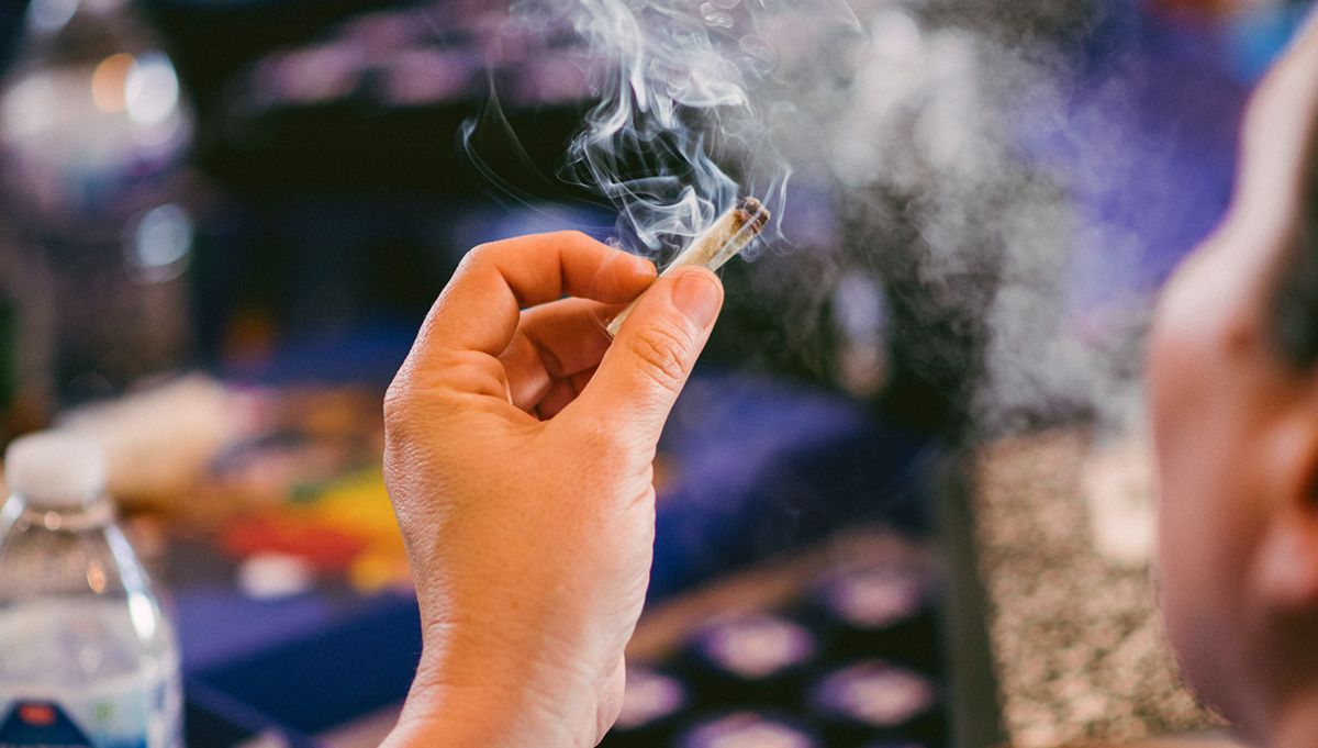 american autoflower cup american autoflower cup