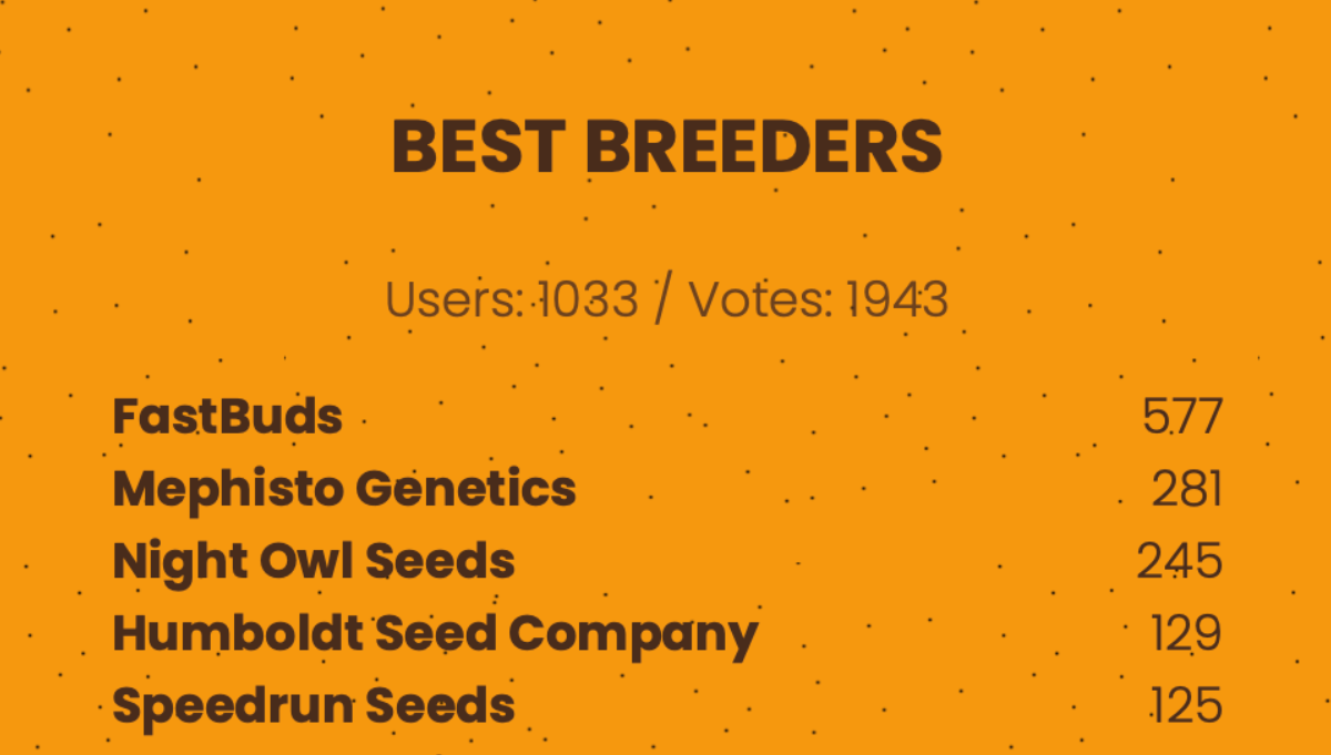 autoflower best breeder 2026 american autoflower cup autoflower best breeder 2026 american autoflower cup