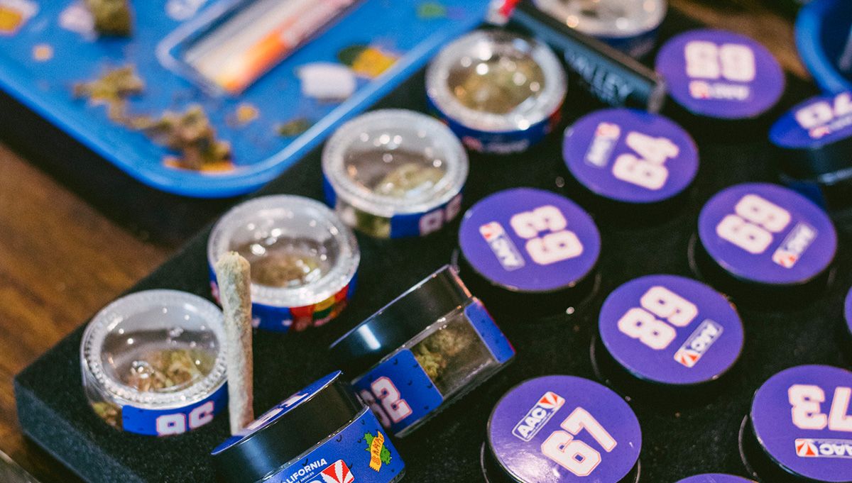 american autoflower cup 