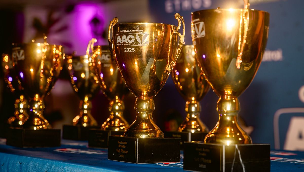 austin kress stoney mcblaze american autoflower cup 