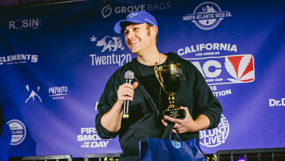 night owl seeds american autoflower cup