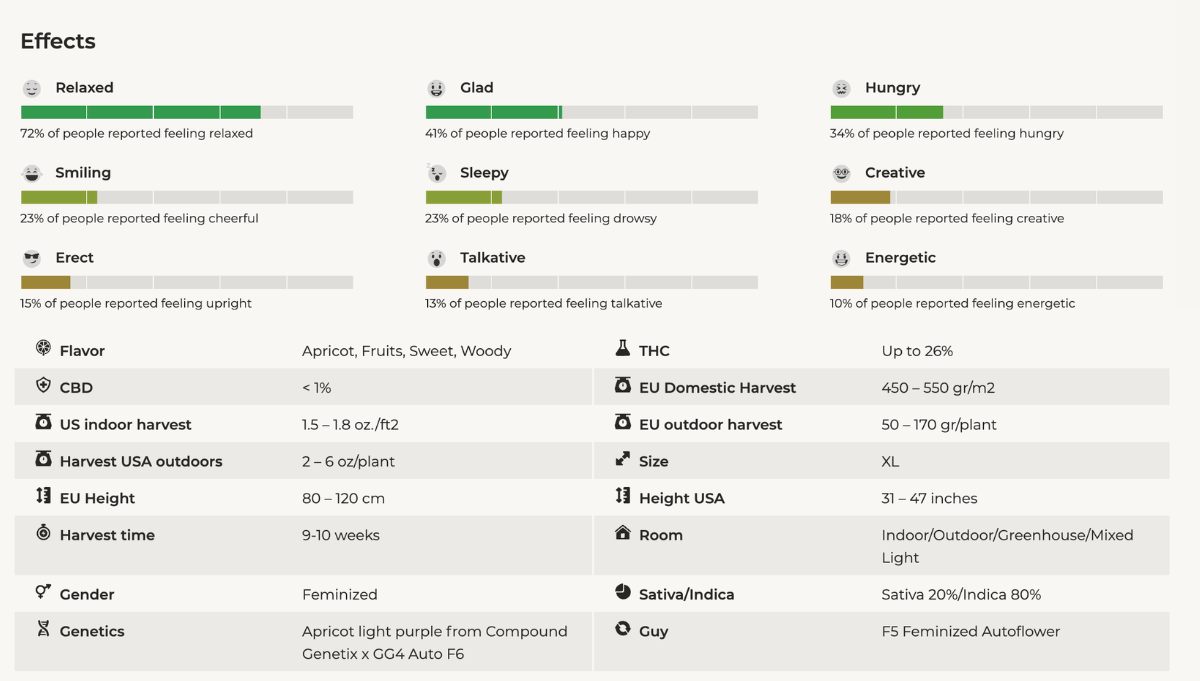 apricot auto fast buds apricot auto fast buds