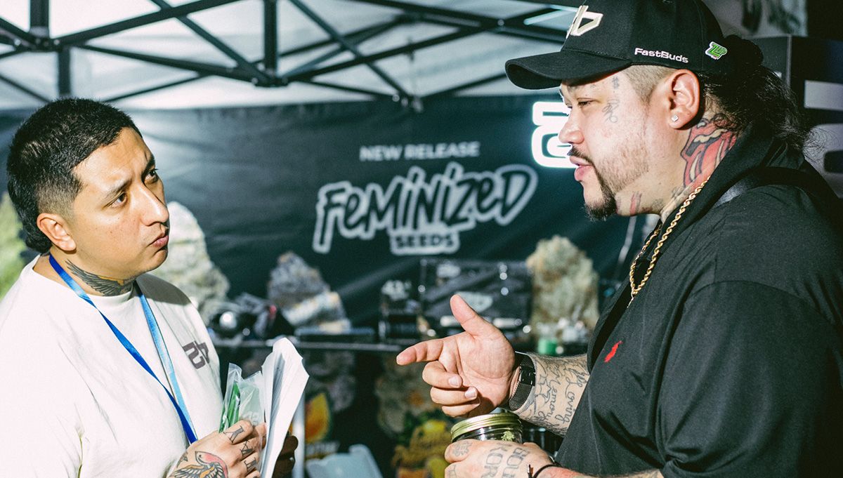 fast buds best autoflower breeder 2026 fast buds best autoflower breeder 2026