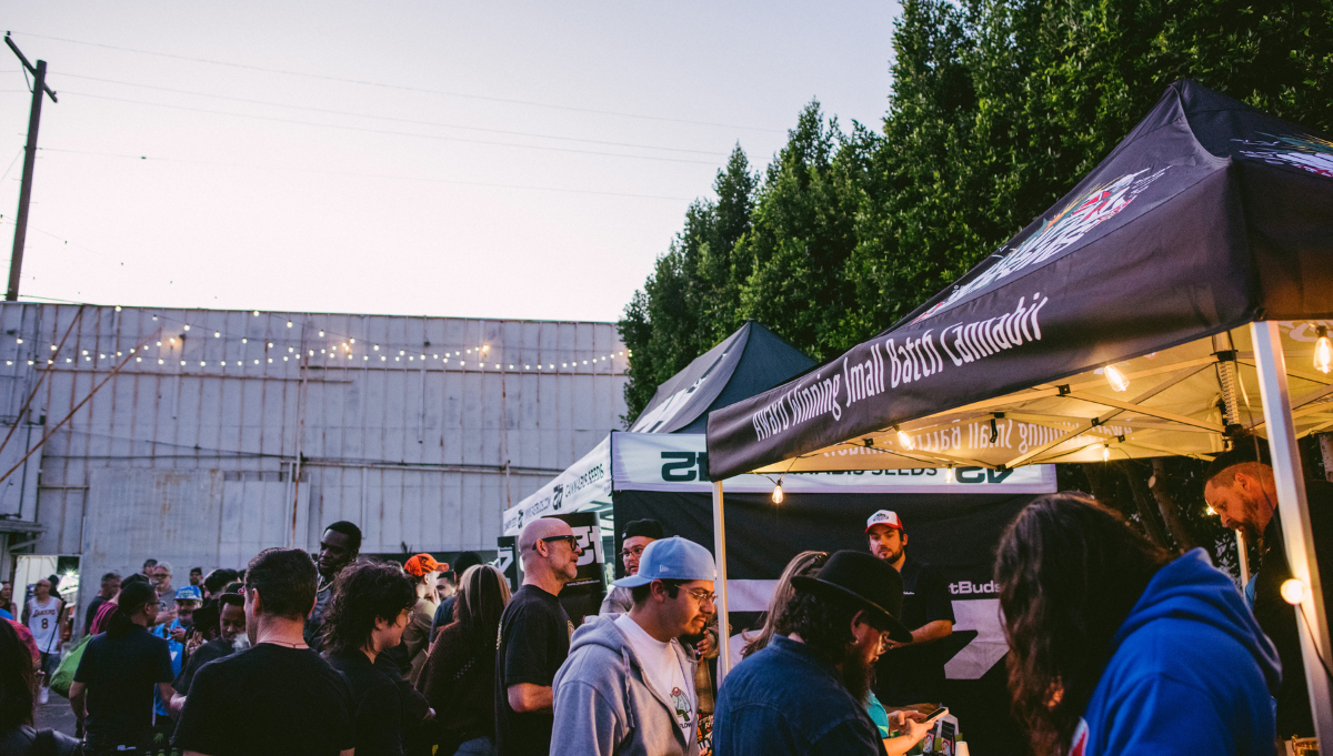 american autoflower cup 2026 american autoflower cup 2026