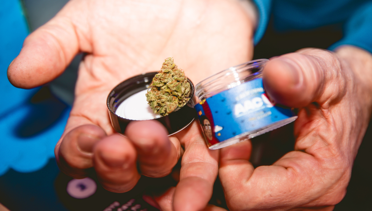 autoflowers cannabis american autoflower cup autoflowers cannabis american autoflower cup