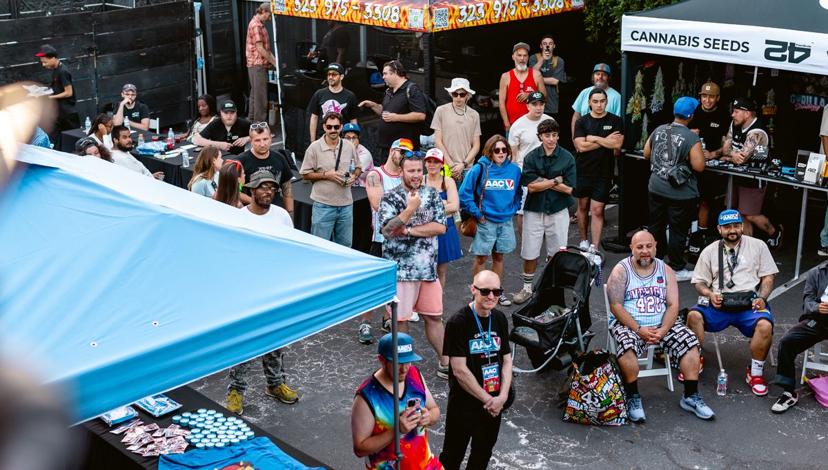 american autoflower cup los angeles american autoflower cup los angeles