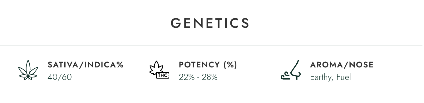 mendo breath auto atlas seed mendo breath auto atlas seed