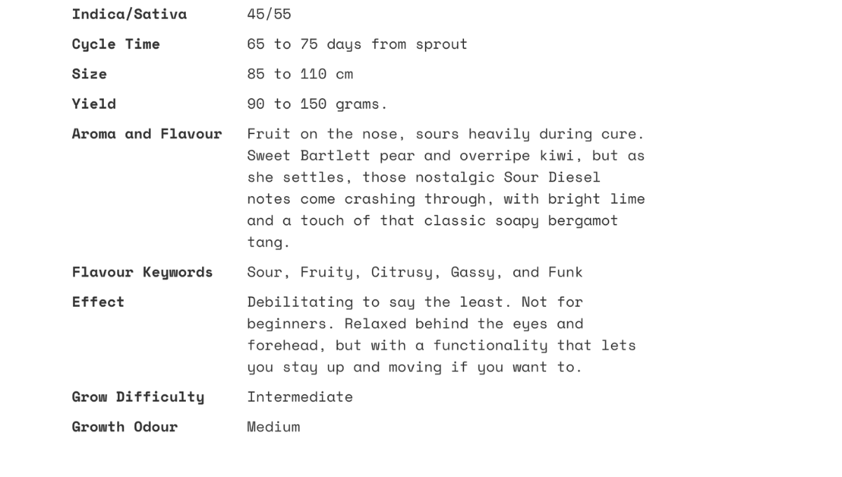 headbanger 505 mephisto genetics