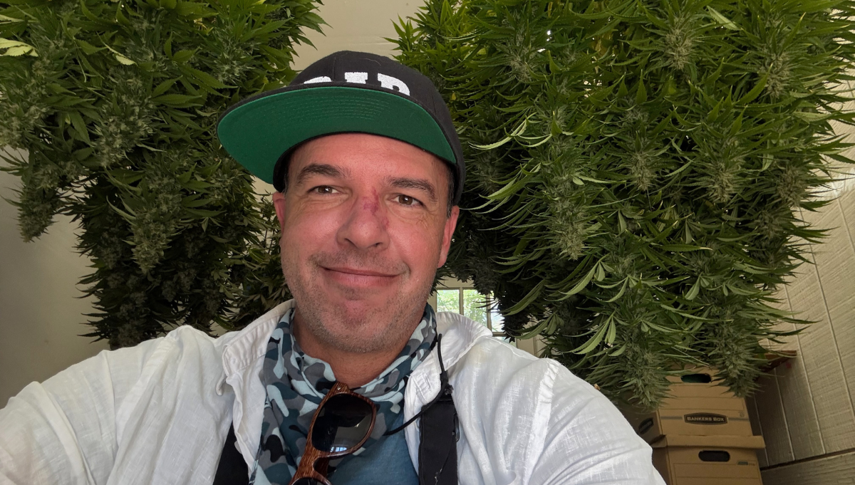 david downs american autoflower cup 2026