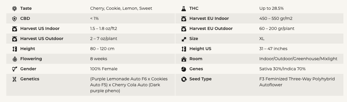 analysis lemon cherry cookie auto american autoflower cup 2025