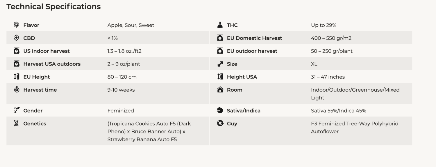 apple strudel auto fast buds