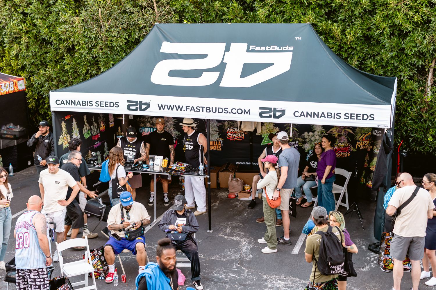 fast buds american autoflower cup winners fast buds american autoflower cup winners