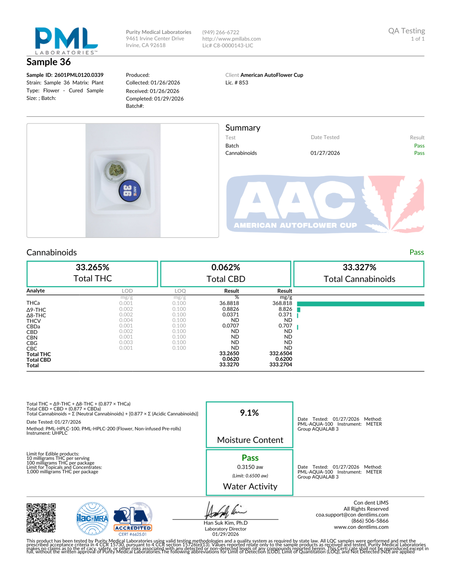 chic lit twenty20 mendo