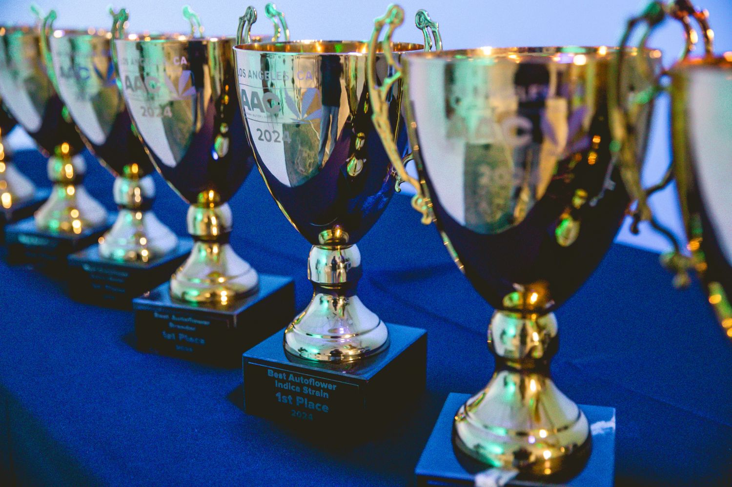 first place 2024 best indica autoflower cali bubba first place 2024 best indica autoflower cali bubba