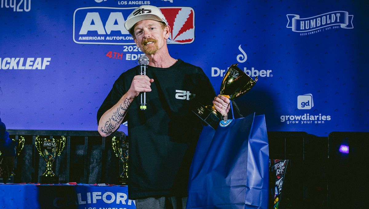 fast buds pound cake auto