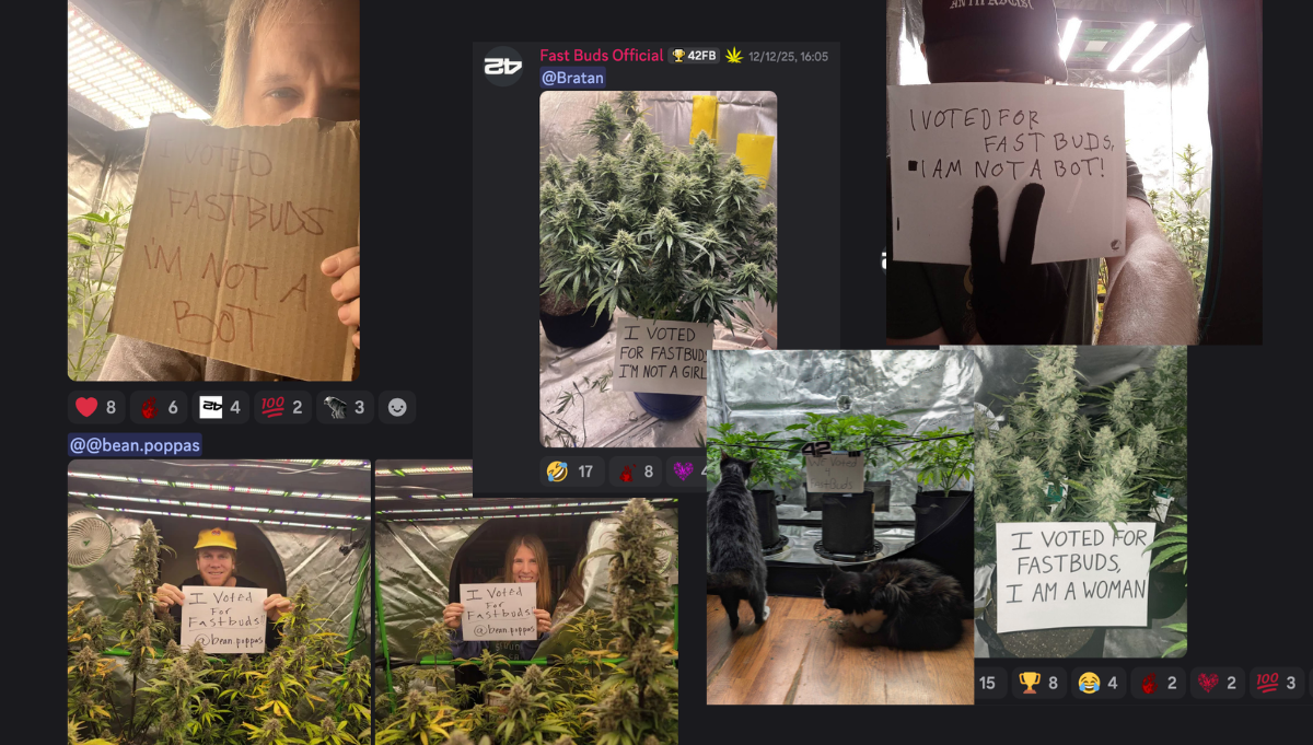 fast buds best autoflower breeder 2026 fast buds best autoflower breeder 2026