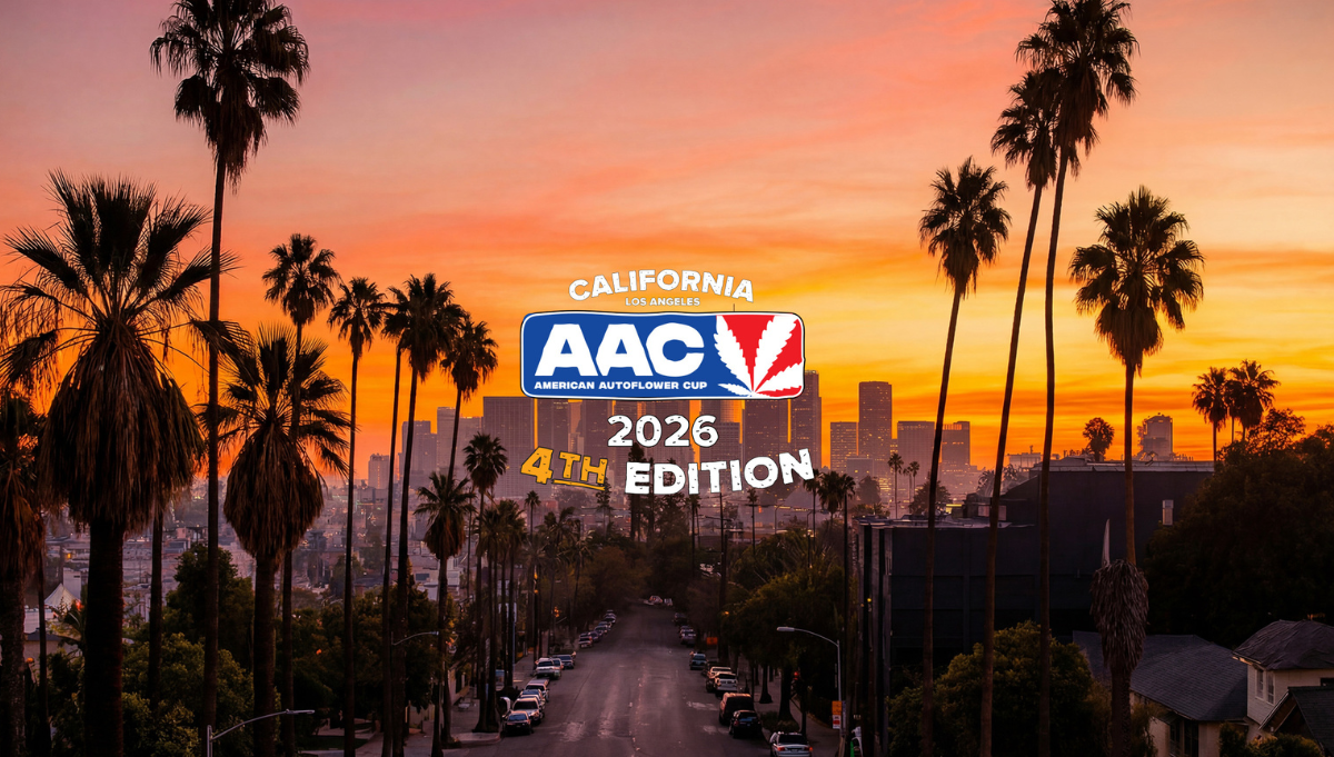 american autoflower cup american autoflower cup