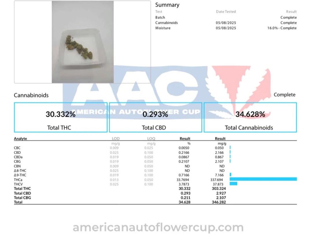 Atlas Seeds highest thc mendo breath auto  Atlas Seeds highest thc mendo breath auto