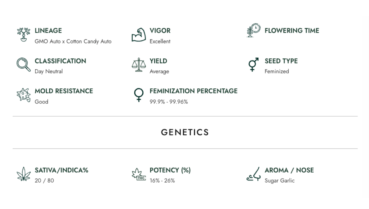 garlic jam by atlas seeds