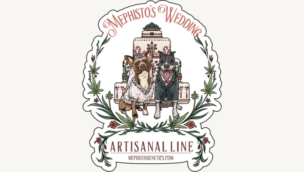 mephisto genetics mephisto wedding mephisto genetics mephisto wedding