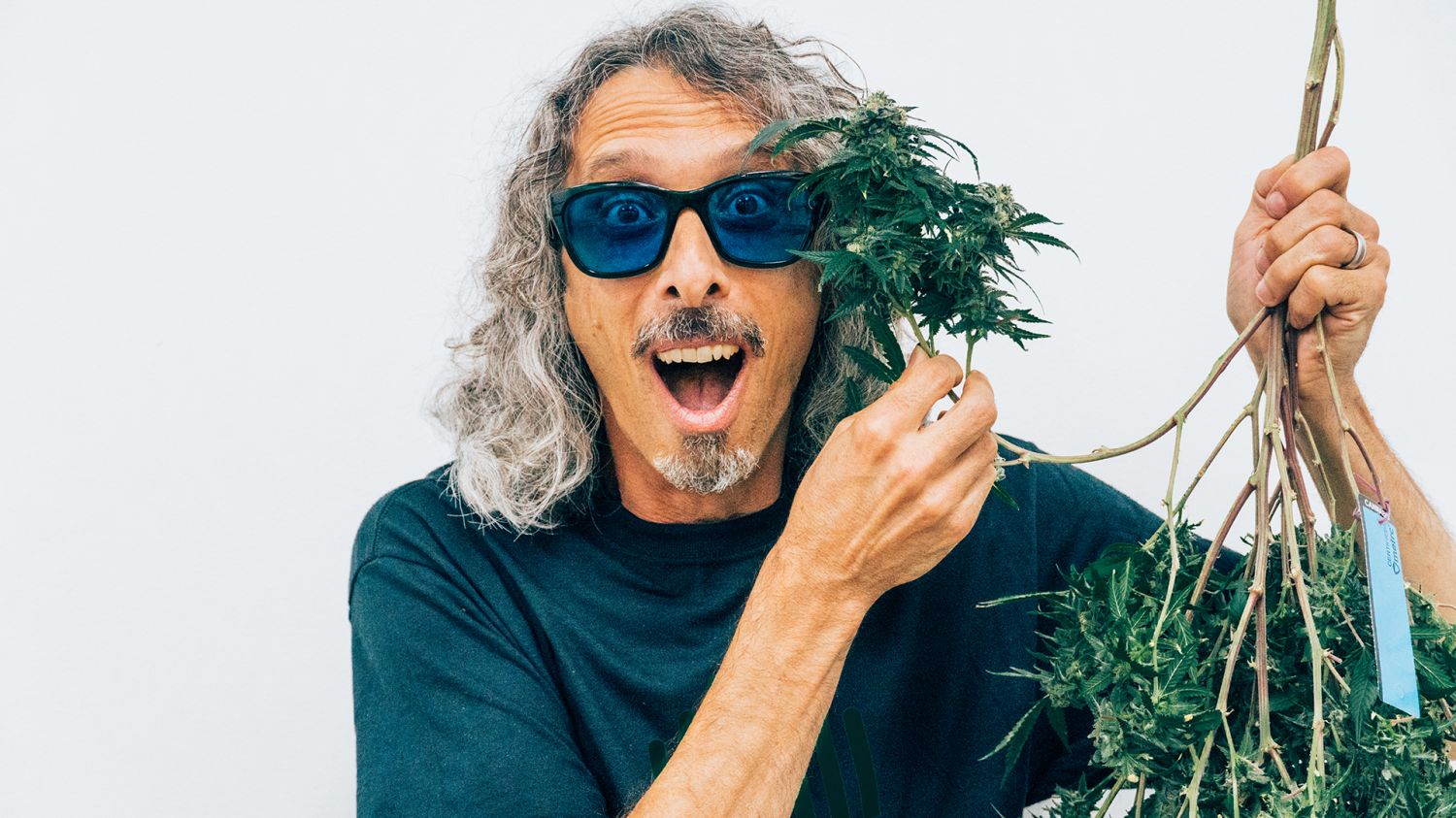 kyle kushman judge for american autoflower cup 2026 kyle kushman judge for american autoflower cup 2026