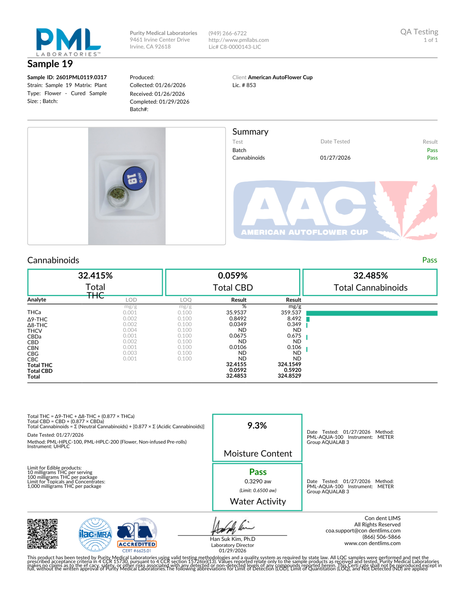 autowhip twenty20 mendo