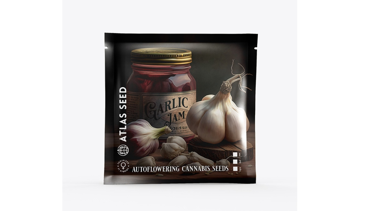 garlic jam atlas seeds american autoflower cup