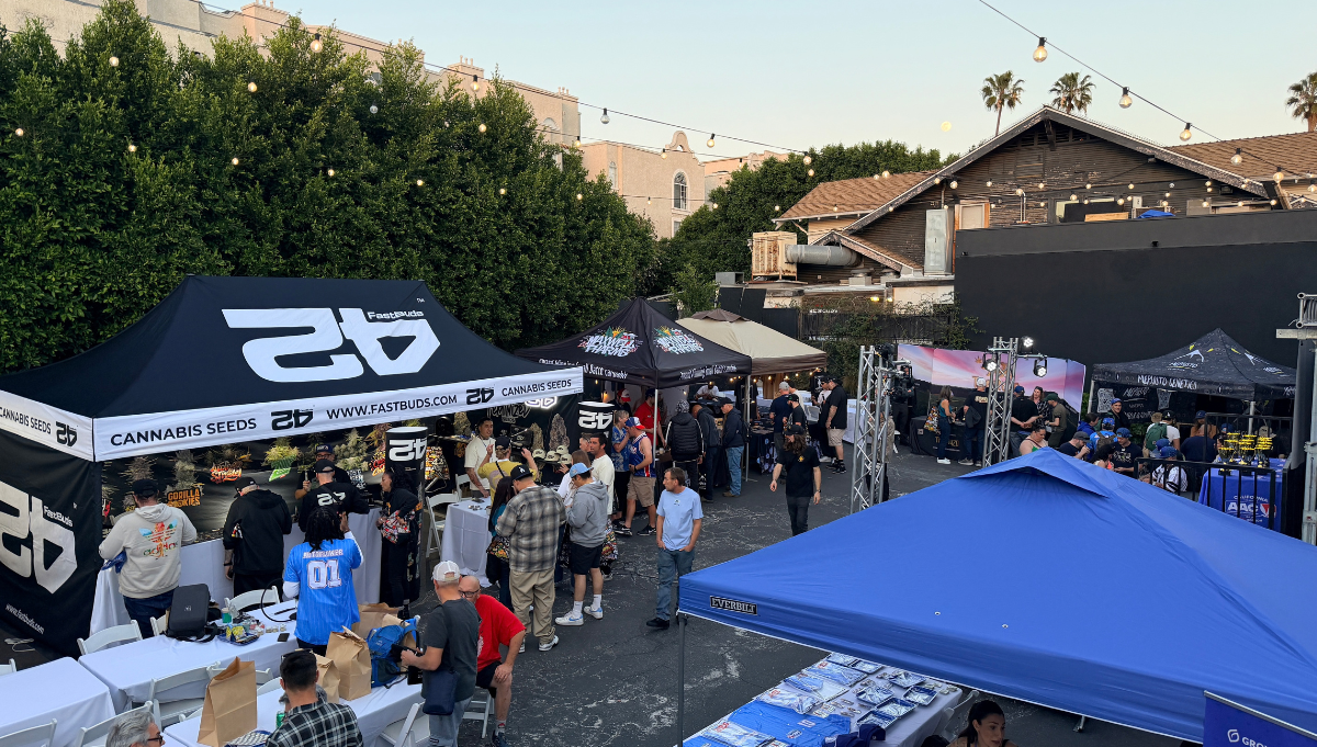 american autoflower cup be true los angeles