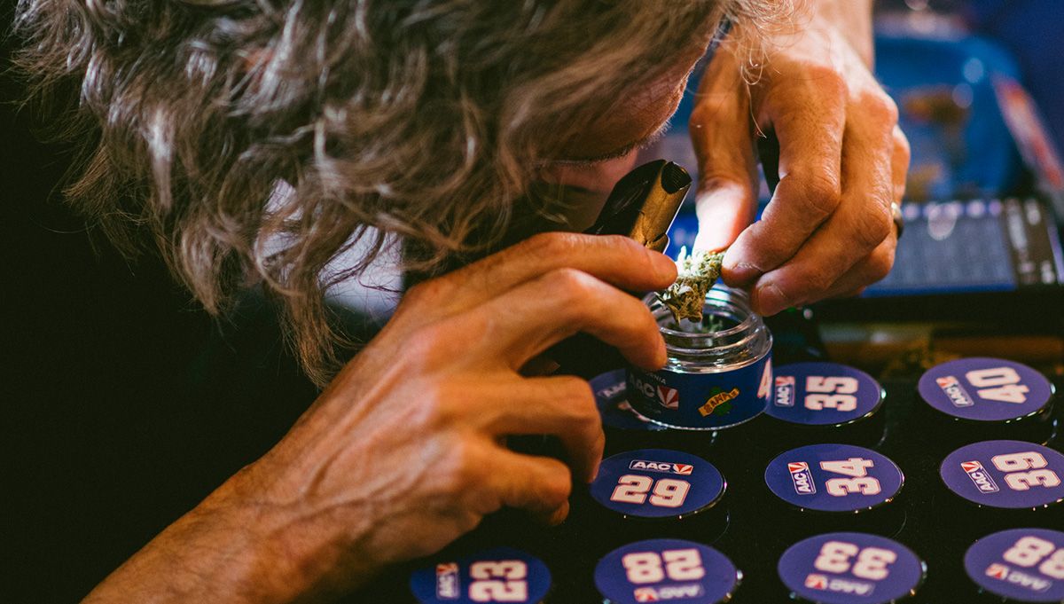 american autoflower cup 