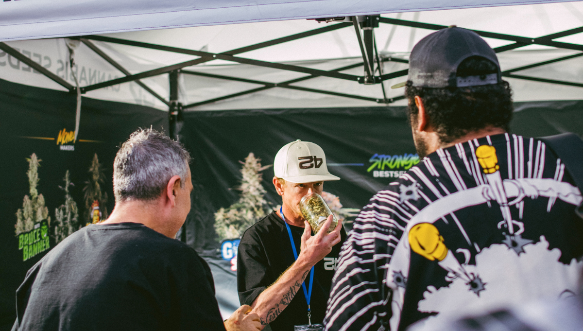 james ziegler chubbs fast buds