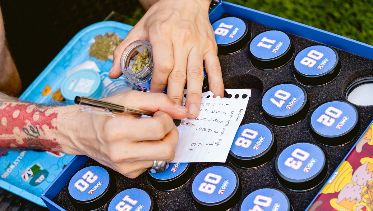 madmanplant judge in american autoflower cup madmanplant judge in american autoflower cup