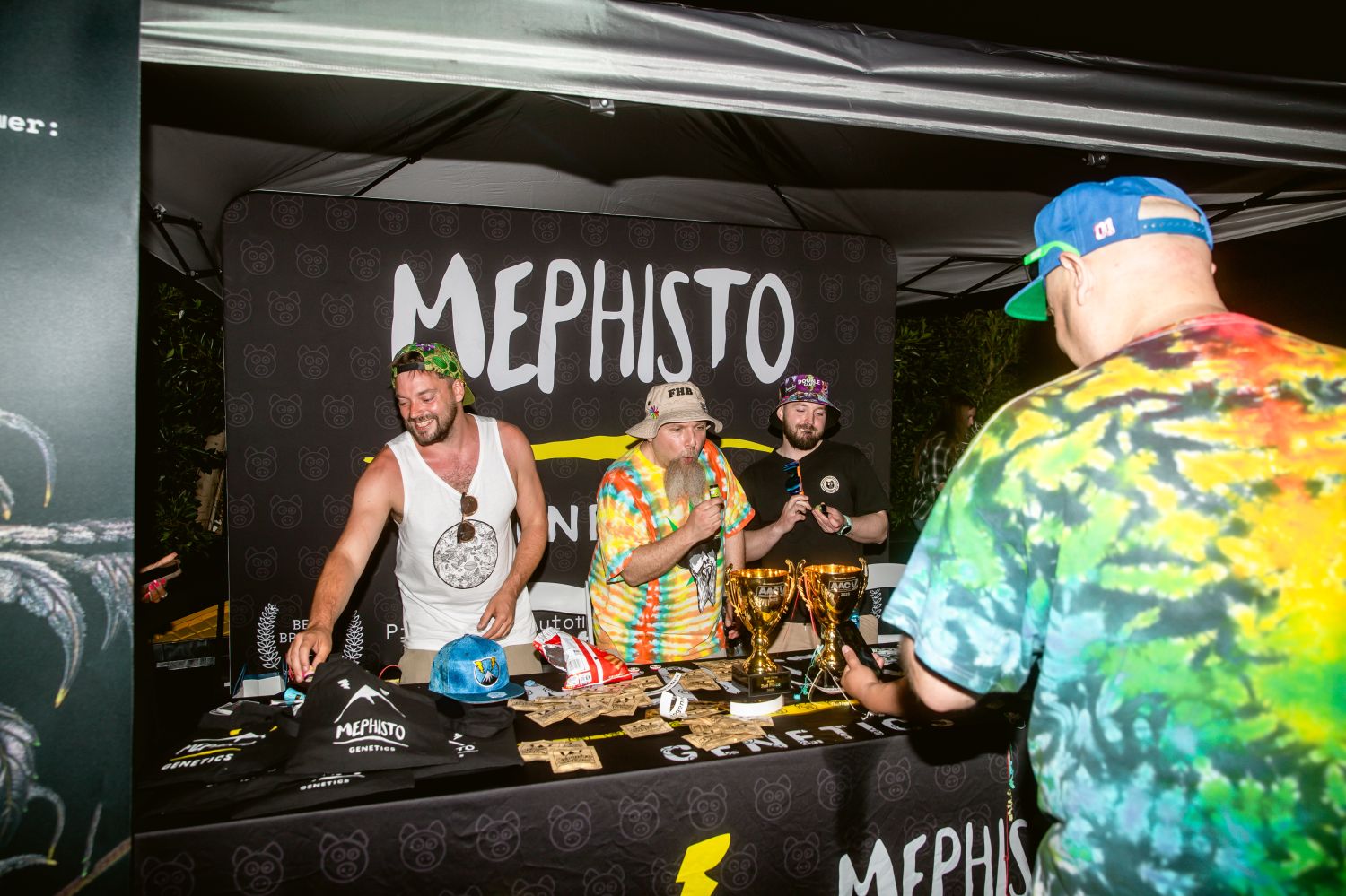 mephisto genetics american autoflower cup