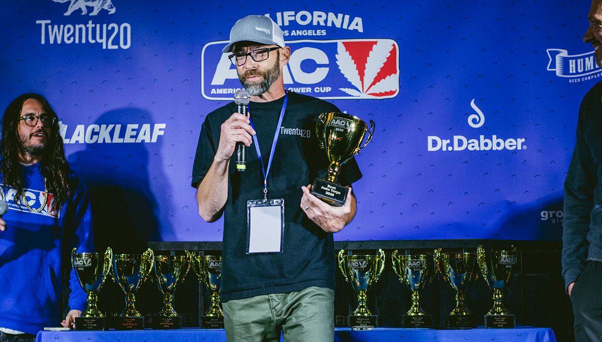 the perm twenty20 mendo 