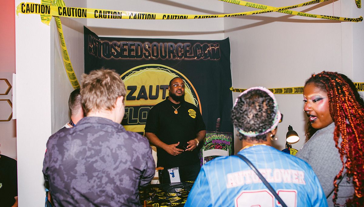 z autoflower genetix