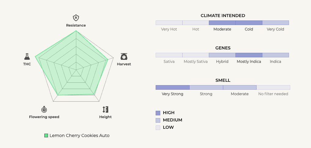 fast buds lemon cherry cookies auto american autoflower cup 2025