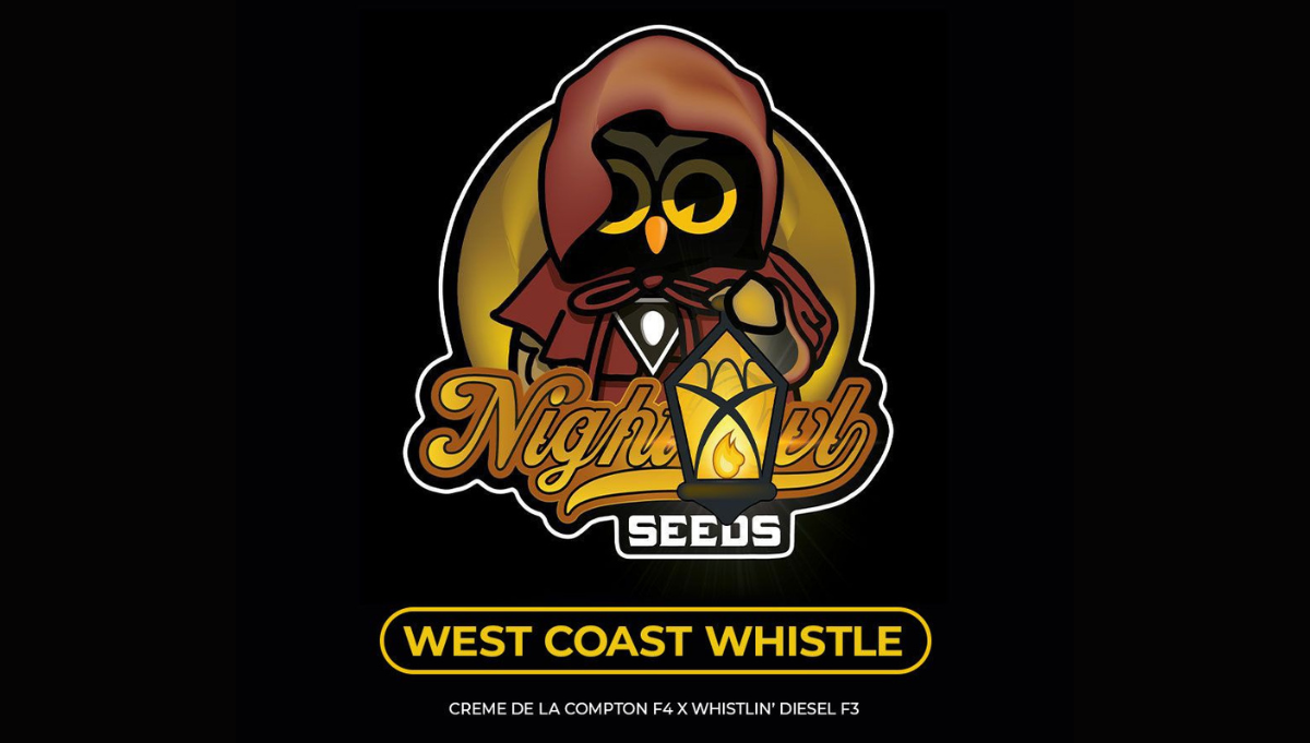 west coast whistle night owl seeds west coast whistle night owl seeds
