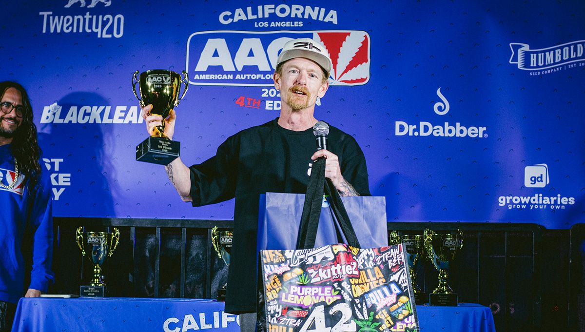 chubbs fast buds best autoflower breeder chubbs fast buds best autoflower breeder